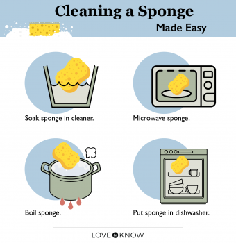 How To Clean A Sponge In The Microwave