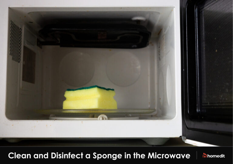 How To Clean A Sponge In The Microwave Oven