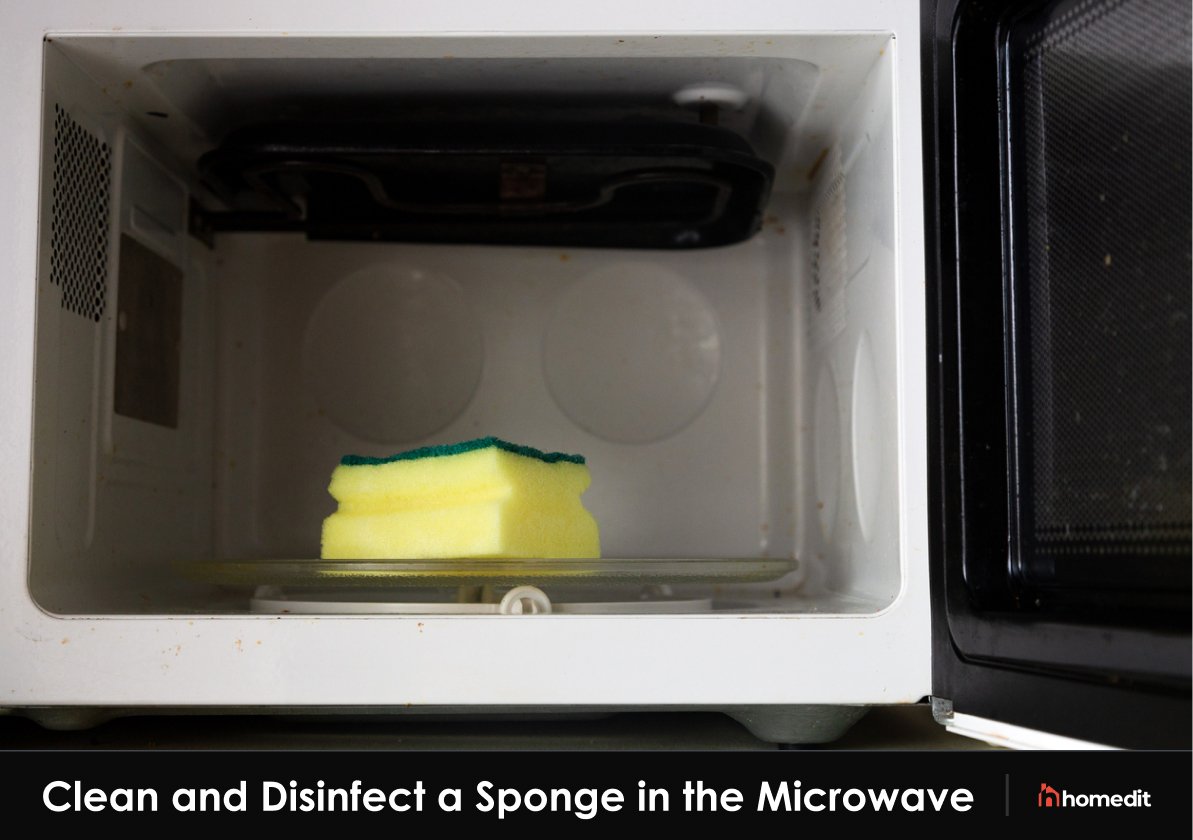 How To Clean A Sponge In The Microwave Oven