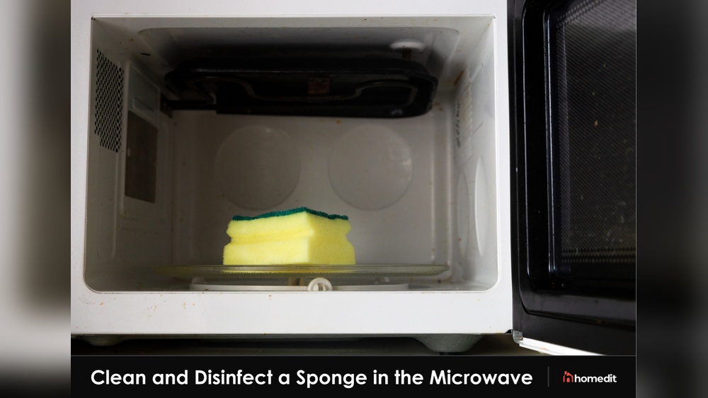 how do you clean a sponge in the microwave.jpg