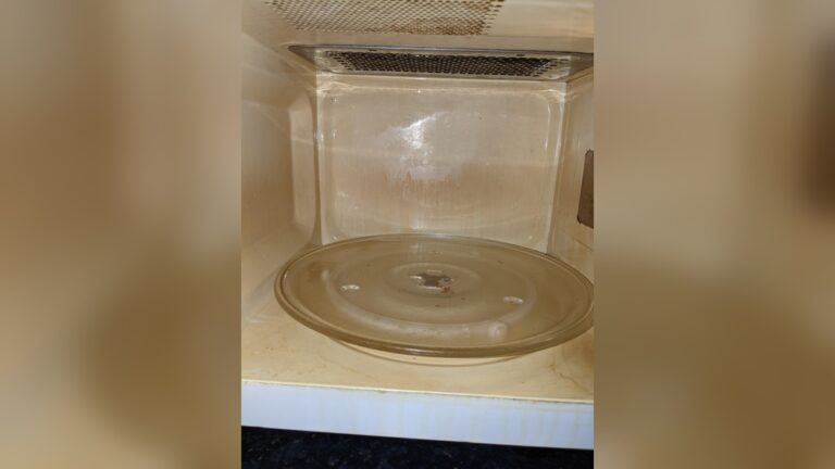 how to clean burnt microwave oven.jpg