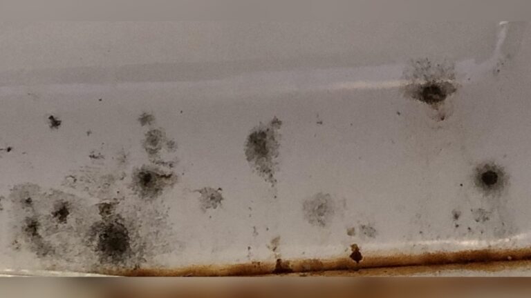 how to clean mold from microwave.jpg