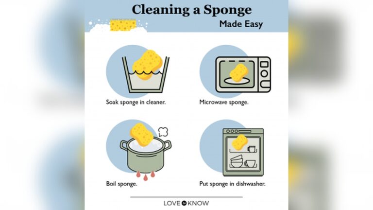 how to clean sponge in microwave.jpg